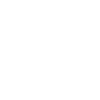 Icon electronic
